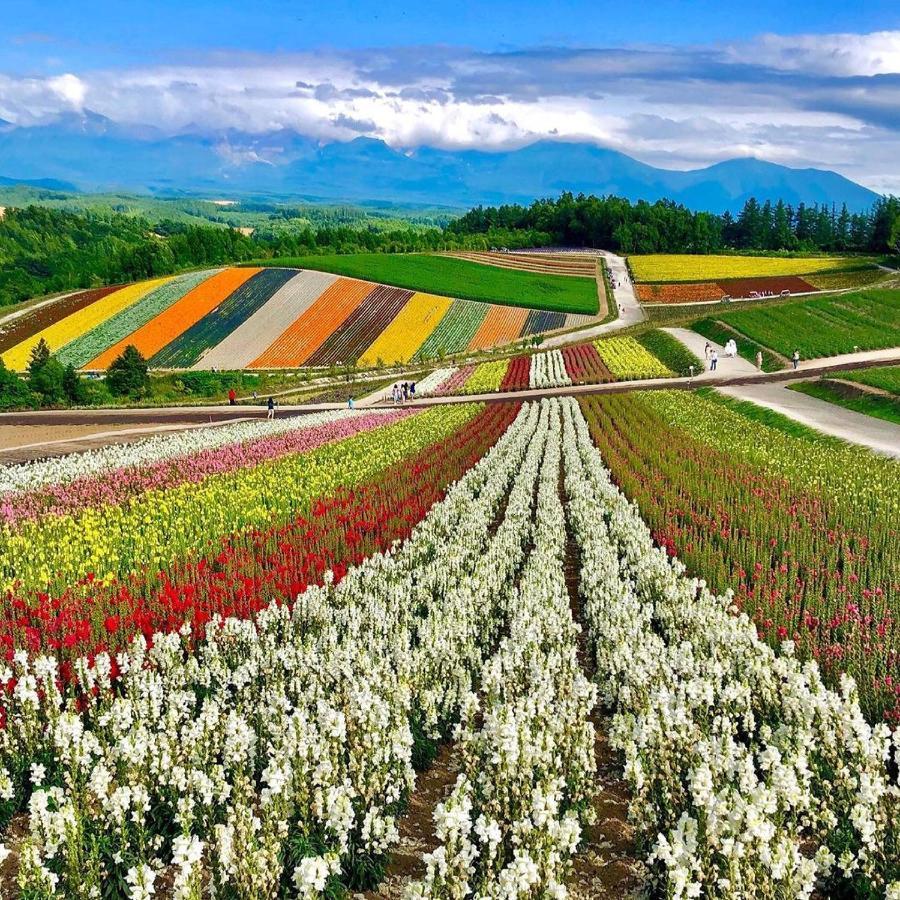 Furano Lofts Apartment ภายนอก รูปภาพ